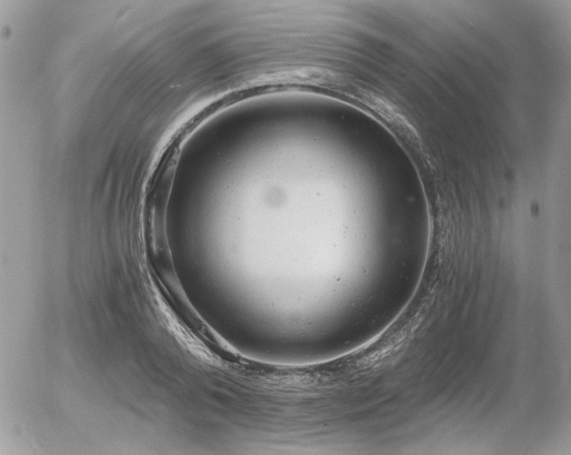 X0000056340792200508261245