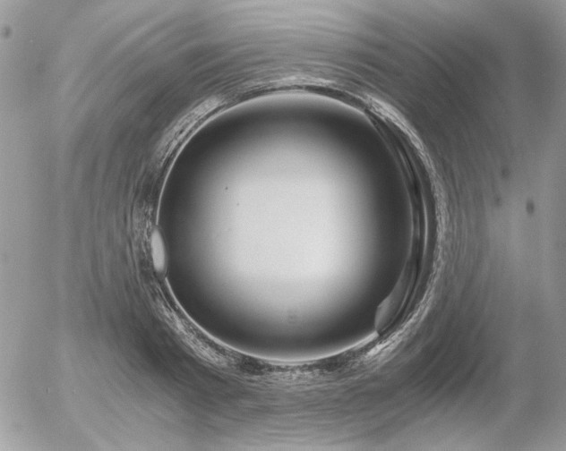 X0000056340793200508261245