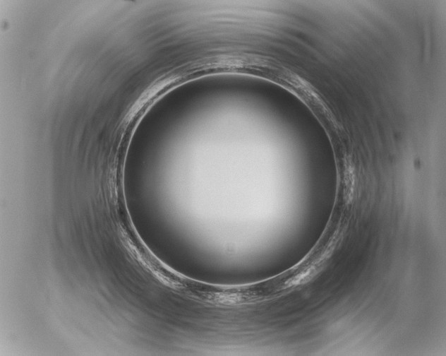 X0000056340794200508261245