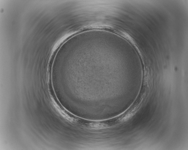 X0000056340795200508261245