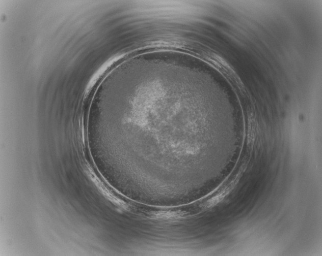 X0000056340796200508261245