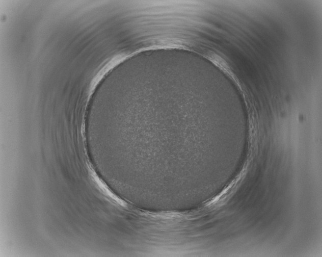 X0000056340797200508261245