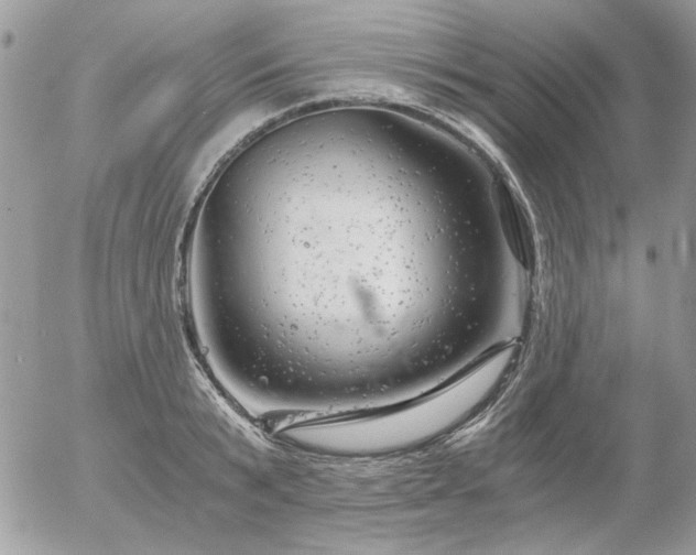 X0000056340799200508261245