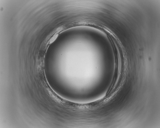 X0000056340801200508261245