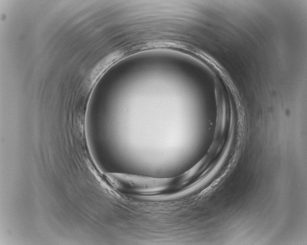 X0000056340809200508261244