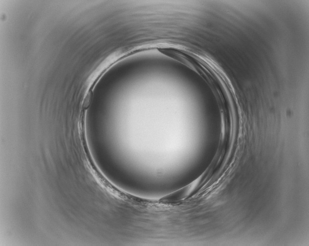 X0000056340813200508261244