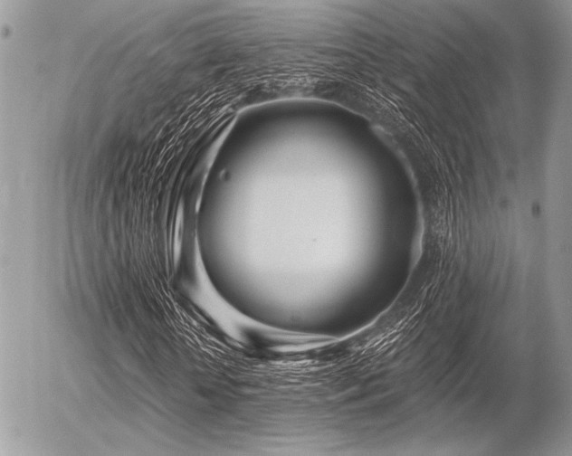 X0000056340818200508261243