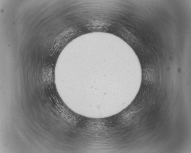 X0000056340820200508261244