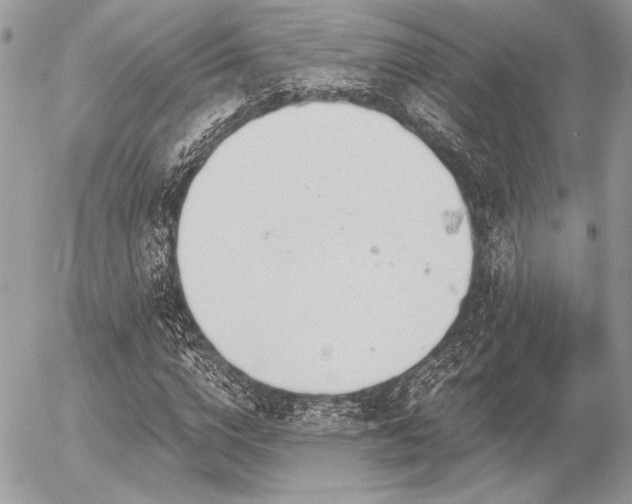 X0000056340824200508261244