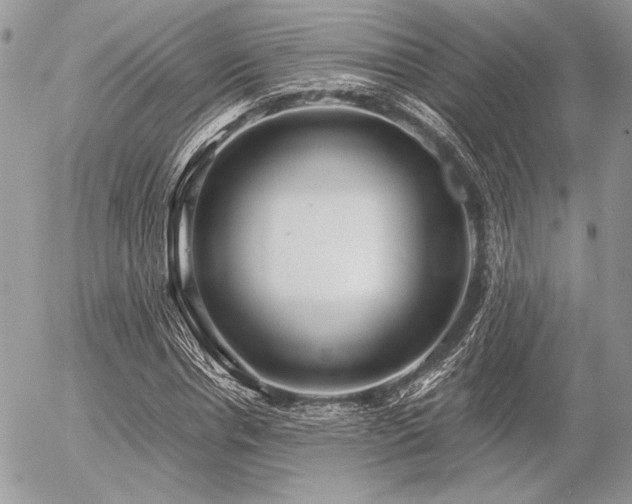 X0000056340826200508261244