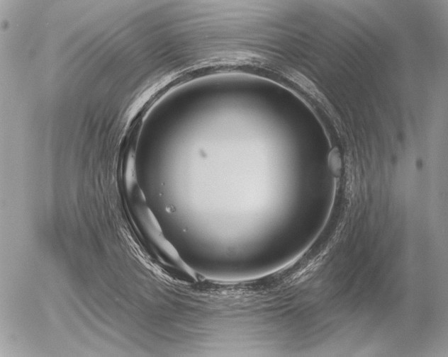 X0000056340834200508261244