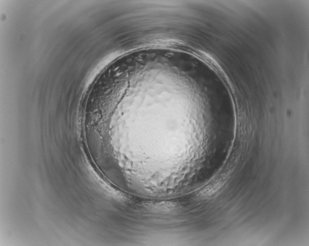 X0000056340851200508261244
