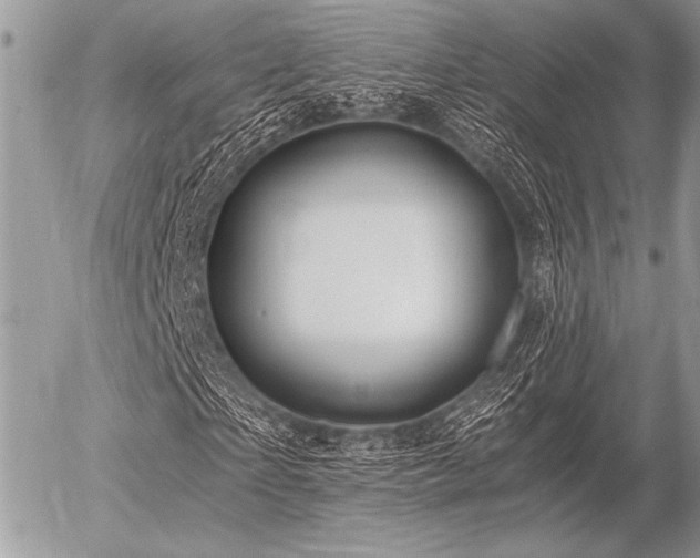 X0000056340865200508261243