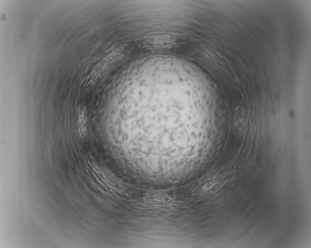 X0000056340866200508261243