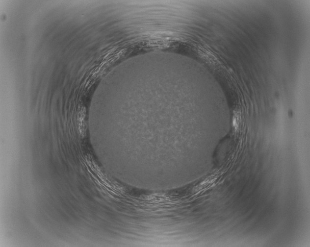 X0000056340867200508261243