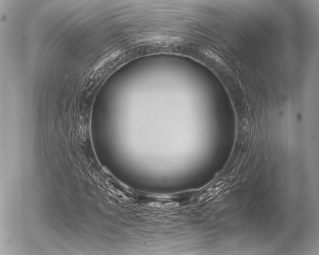 X0000056340869200508261243
