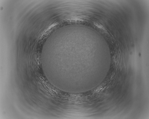 X0000056340870200508261243