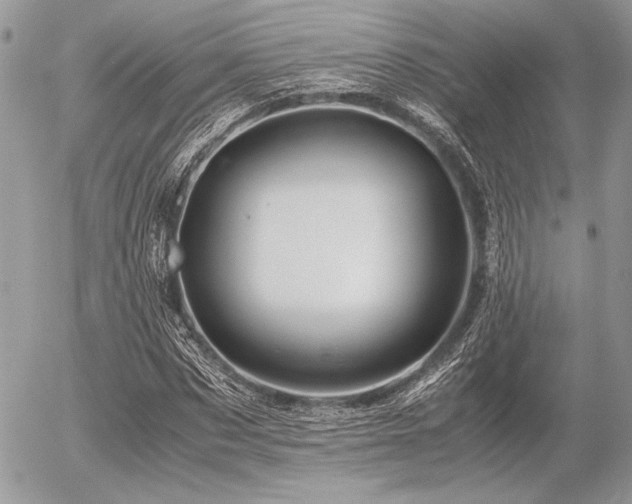X0000056340873200508261243