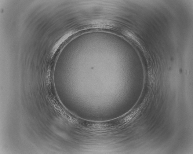 X0000056340875200508261243