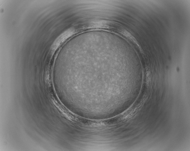 X0000056340882200508261243