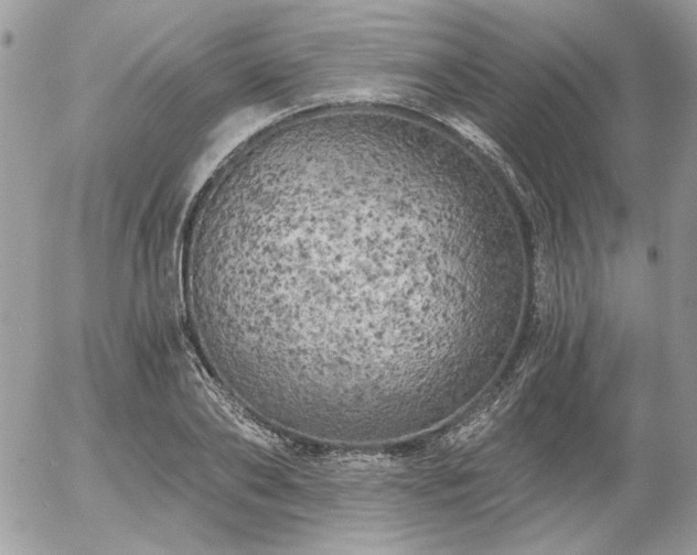 X0000056340886200508261243