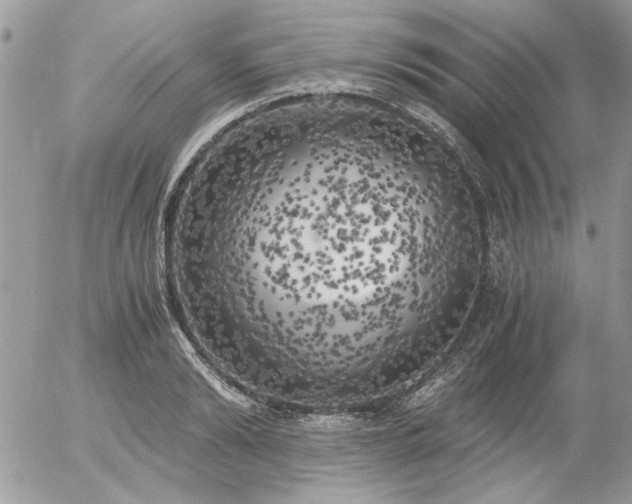 X0000056340894200508261243