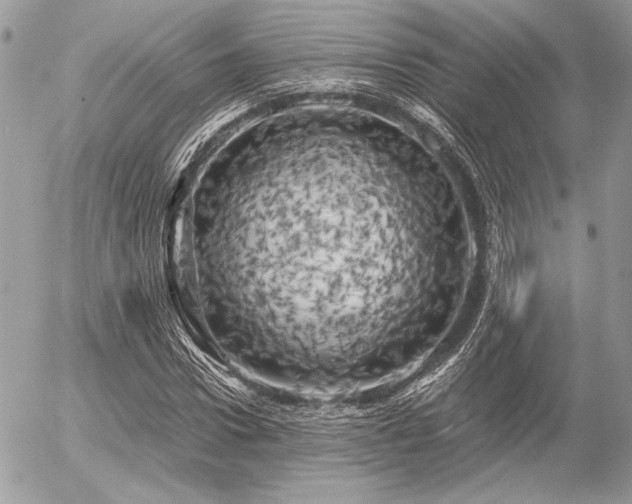 X0000056340922200508261242