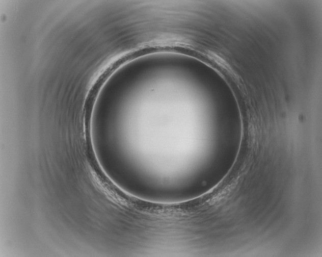 X0000056340934200508261242