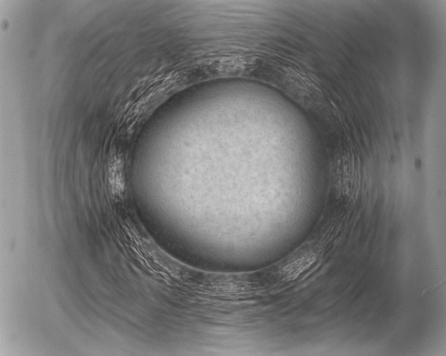 X0000056340962200508261242