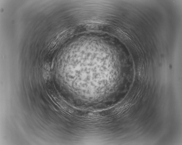 X0000056340964200508261242