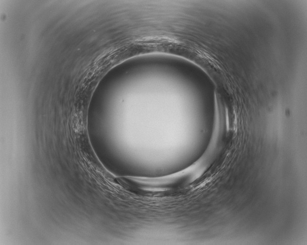 X0000056340965200508261242