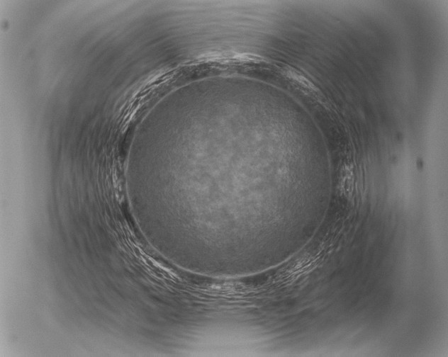 X0000056340966200508261242