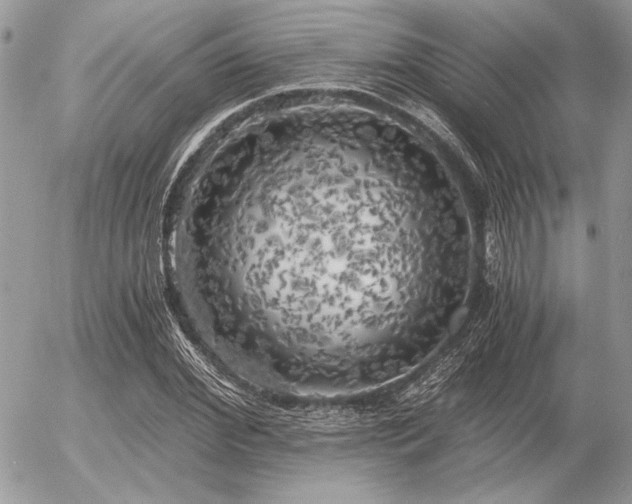 X0000056340972200508261242