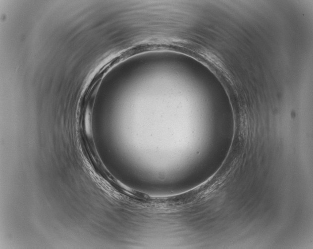 X0000056340976200508261242