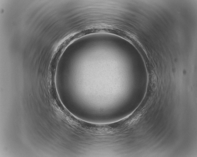 X0000056340979200508261242