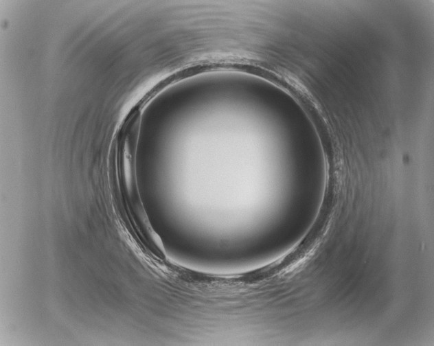 X0000056340981200508261242