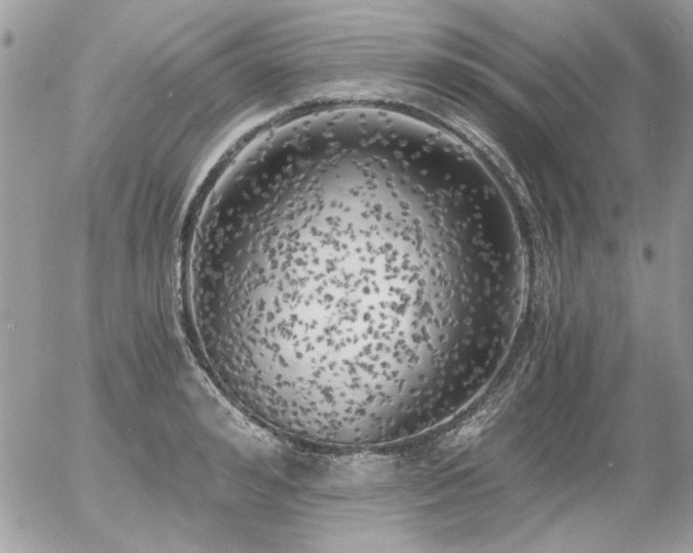 X0000056340992200508261241