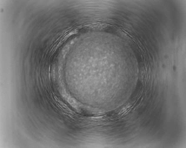 X0000056341010200508261240