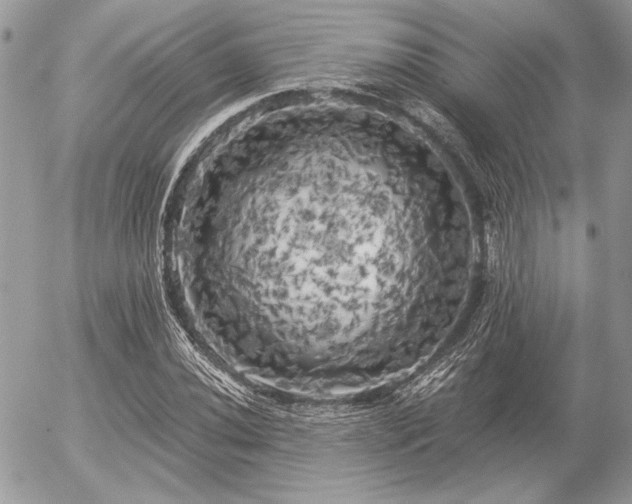 X0000056341020200508261240