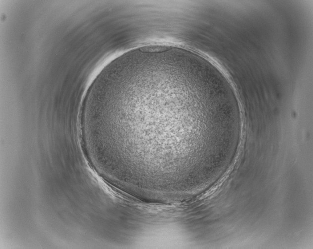 X0000056341056200508261241