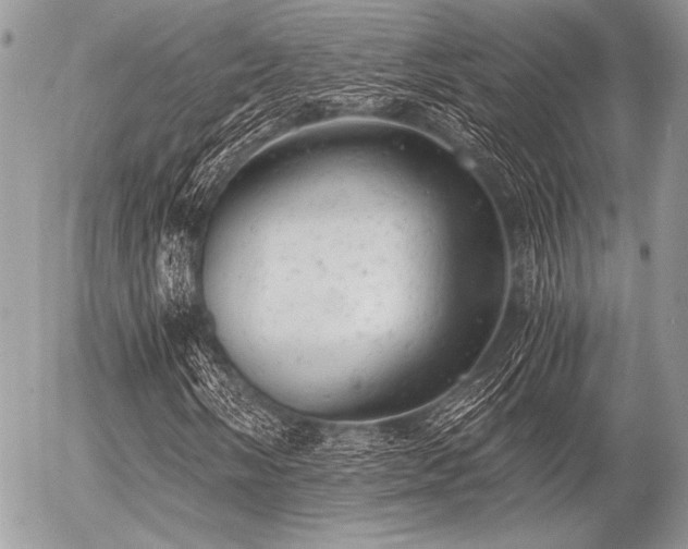 X0000056341058200508261240