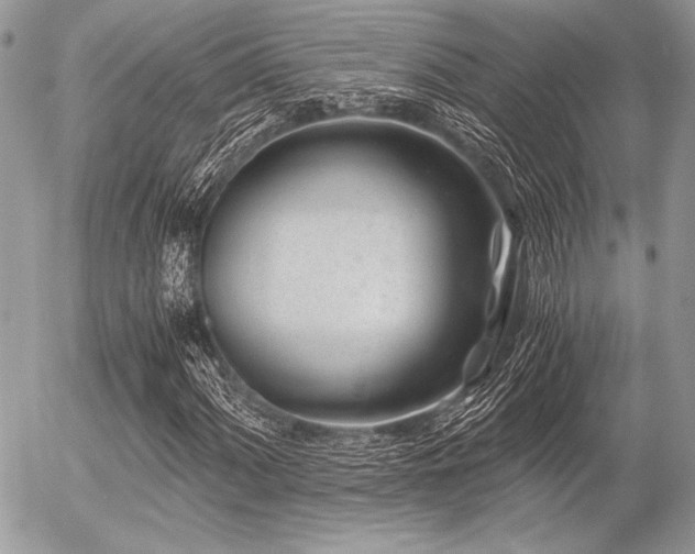 X0000056341060200508261240