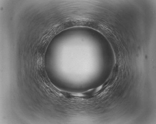 X0000056341061200508261240