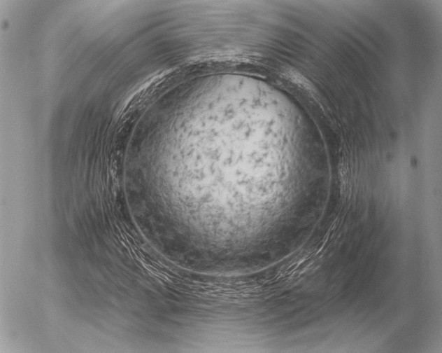 X0000056341064200508261240