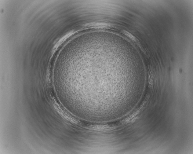 X0000056341074200508261240