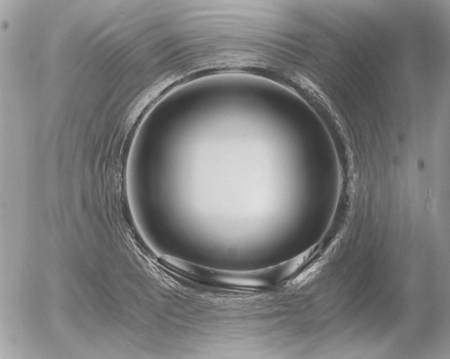 X0000056341081200508261240