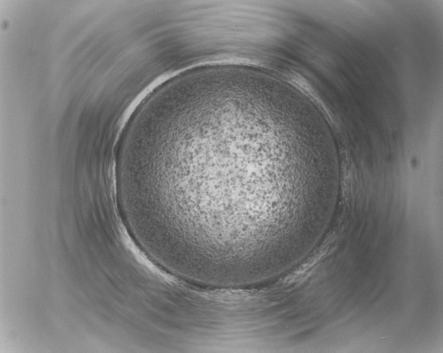 X0000056341092200508261240