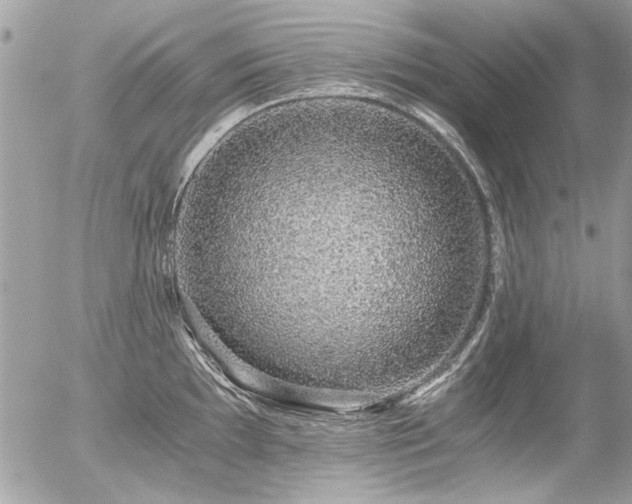 X0000056341097200508261240