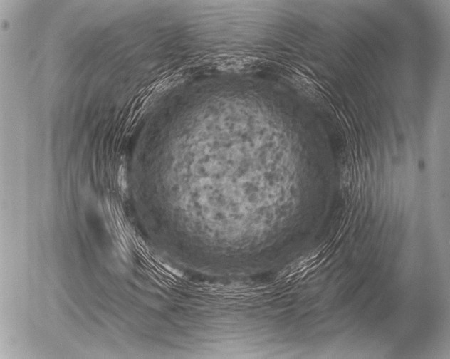 X0000056341106200508261239