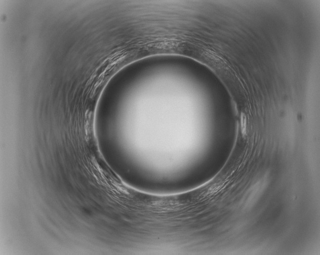 X0000056341107200508261239